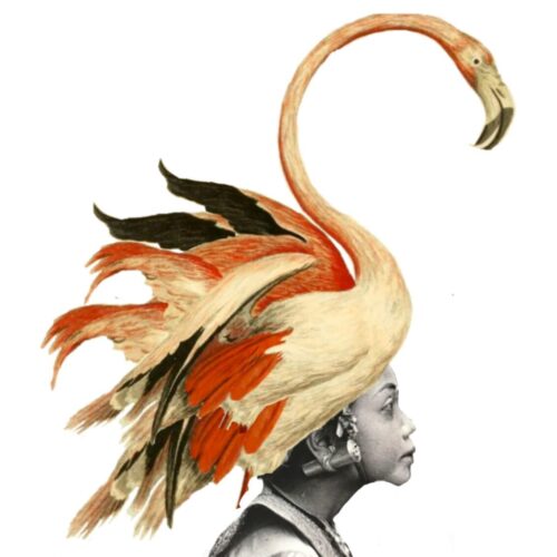 Map met kunstkaarten